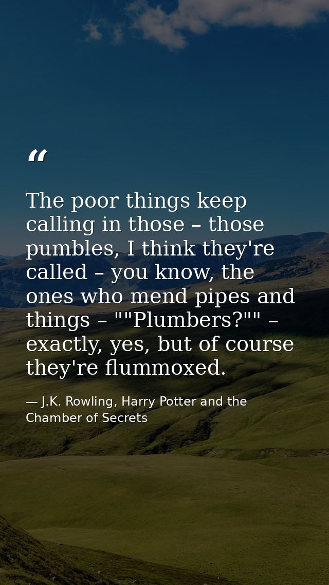 The poor things keep calling in those – those pumbles, I think they're called – you know, the ones who mend pipes and th — J.K. Rowling, Harry Potter and the Chamber of Secrets
