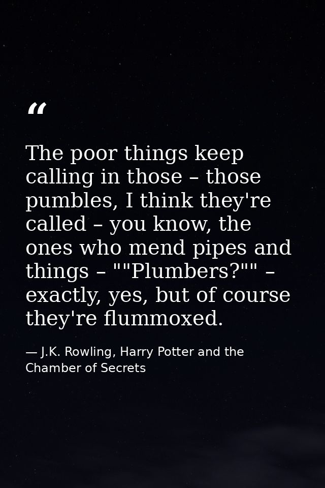 The poor things keep calling in those – those pumbles, I think they're called – you know, the ones who mend pipes and th — J.K. Rowling, Harry Potter and the Chamber of Secrets