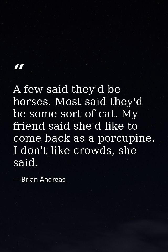 A few said they'd be horses. Most said they'd be some sort of cat. My friend said she'd like to come back as a porcupine — Brian Andreas