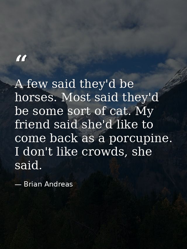 A few said they'd be horses. Most said they'd be some sort of cat. My friend said she'd like to come back as a porcupine — Brian Andreas