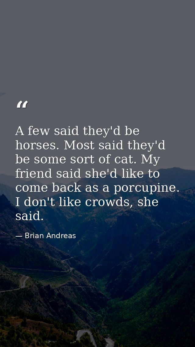 A few said they'd be horses. Most said they'd be some sort of cat. My friend said she'd like to come back as a porcupine — Brian Andreas