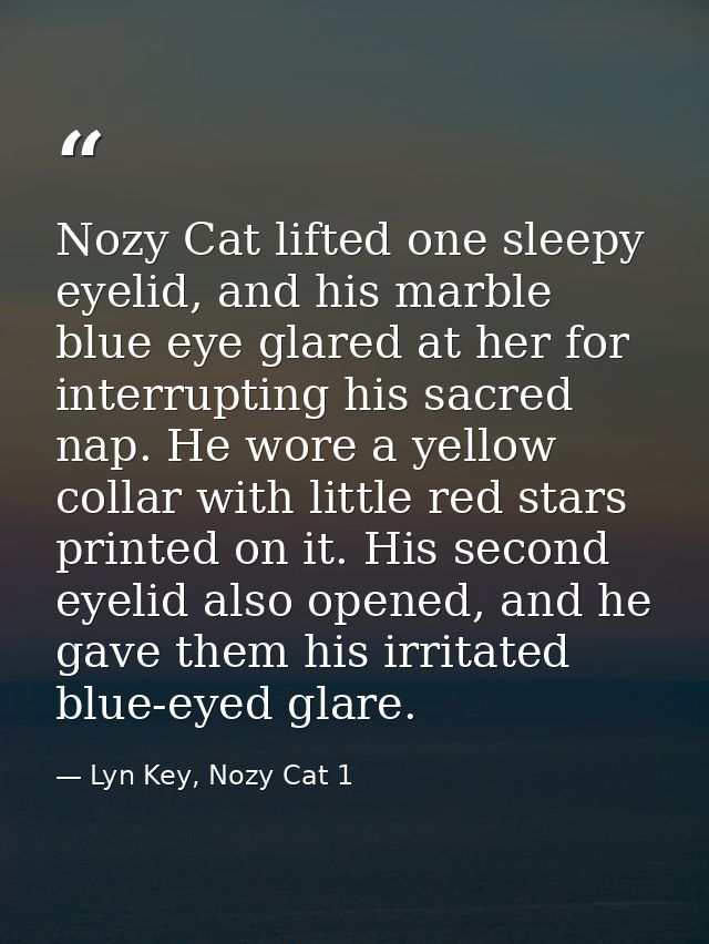 Nozy Cat lifted one sleepy eyelid, and his marble blue eye glared at her for interrupting his sacred nap. He wore a yell — Lyn Key, Nozy Cat 1