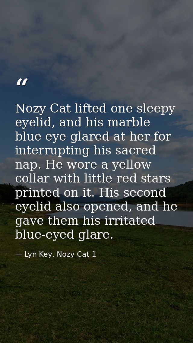 Nozy Cat lifted one sleepy eyelid, and his marble blue eye glared at her for interrupting his sacred nap. He wore a yell — Lyn Key, Nozy Cat 1