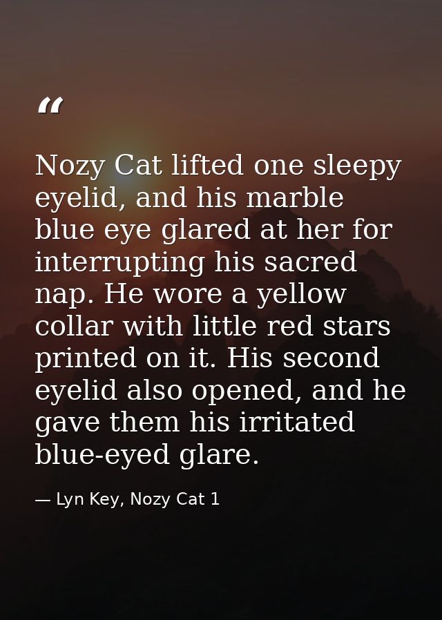 Nozy Cat lifted one sleepy eyelid, and his marble blue eye glared at her for interrupting his sacred nap. He wore a yell — Lyn Key, Nozy Cat 1