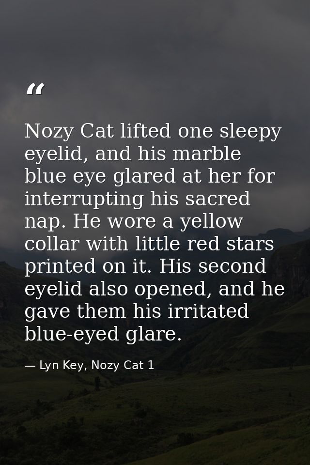 Nozy Cat lifted one sleepy eyelid, and his marble blue eye glared at her for interrupting his sacred nap. He wore a yell — Lyn Key, Nozy Cat 1