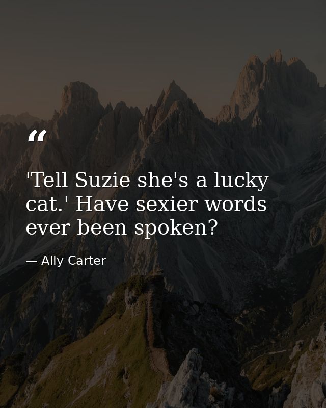 'Tell Suzie she's a lucky cat.' Have sexier words ever been spoken? — Ally Carter