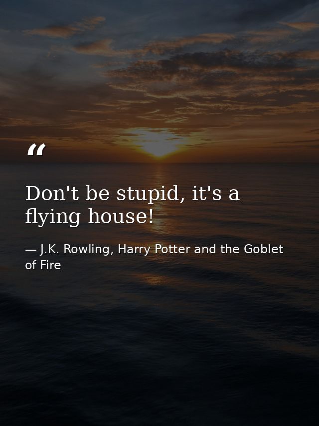 Don't be stupid, it's a flying house! — J.K. Rowling, Harry Potter and the Goblet of Fire