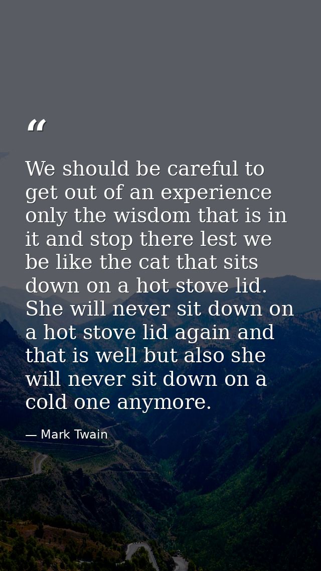We should be careful to get out of an experience only the wisdom that is in it and stop there lest we be like the cat th — Mark Twain