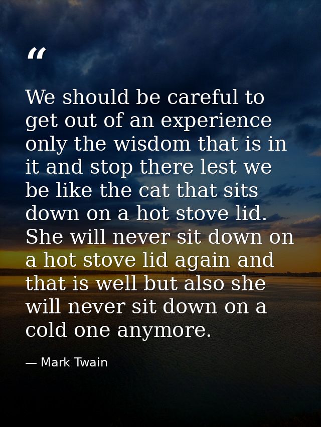 We should be careful to get out of an experience only the wisdom that is in it and stop there lest we be like the cat th — Mark Twain