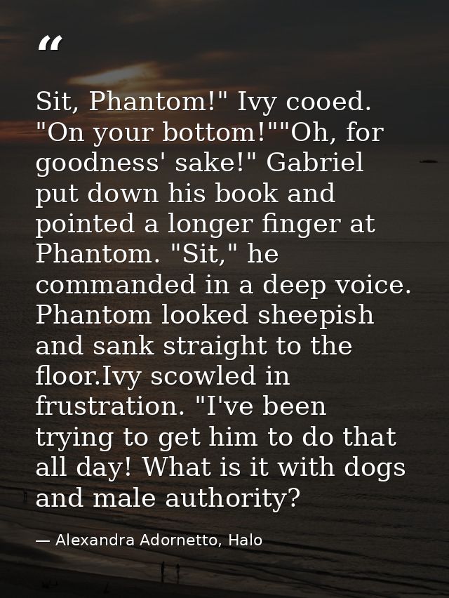 Sit, Phantom!" Ivy cooed. "On your bottom!""Oh, for goodness' sake!" Gabriel put down his book and pointed a longer fing — Alexandra Adornetto, Halo
