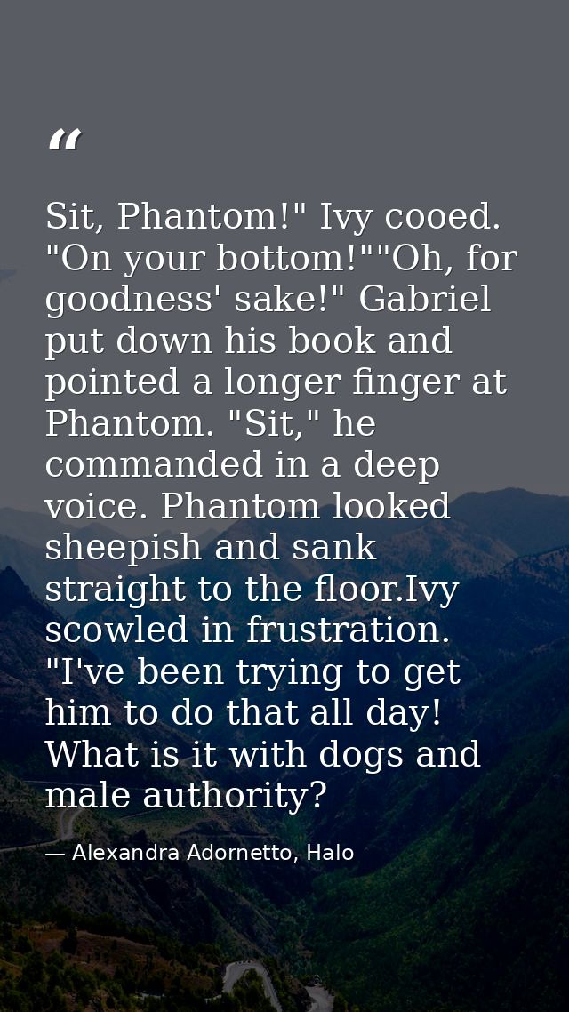 Sit, Phantom!" Ivy cooed. "On your bottom!""Oh, for goodness' sake!" Gabriel put down his book and pointed a longer fing — Alexandra Adornetto, Halo
