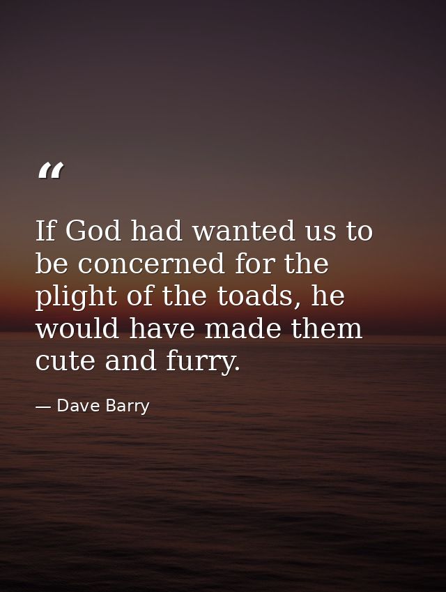 If God had wanted us to be concerned for the plight of the toads, he would have made them cute and furry. — Dave Barry