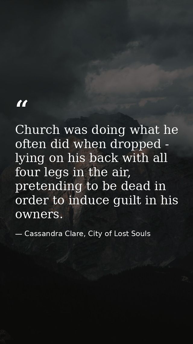 Church was doing what he often did when dropped - lying on his back with all four legs in the air, pretending to be dead — Cassandra Clare, City of Lost Souls