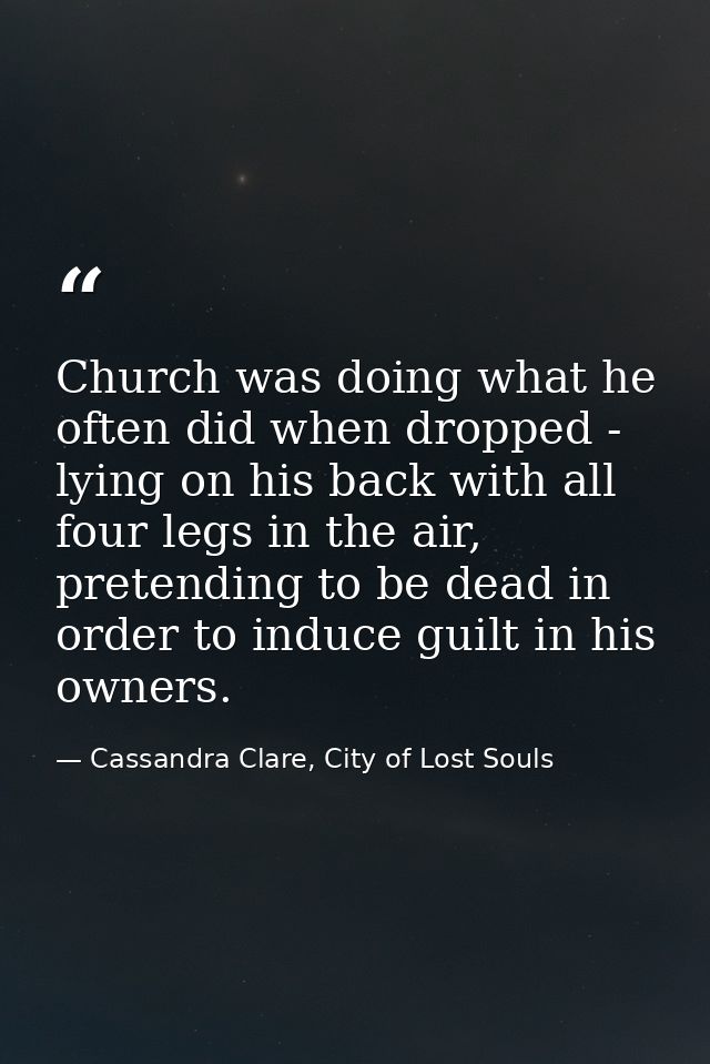 Church was doing what he often did when dropped - lying on his back with all four legs in the air, pretending to be dead — Cassandra Clare, City of Lost Souls