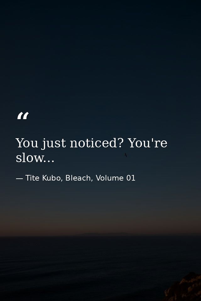 You just noticed? You're slow... — Tite Kubo, Bleach, Volume 01