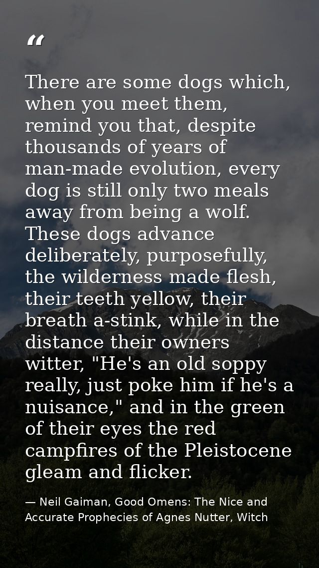 There are some dogs which, when you meet them, remind you that, despite thousands of years of man-made evolution, every  — Neil Gaiman, Good Omens: The Nice and Accurate Prophecies of Agnes Nutter, Witch