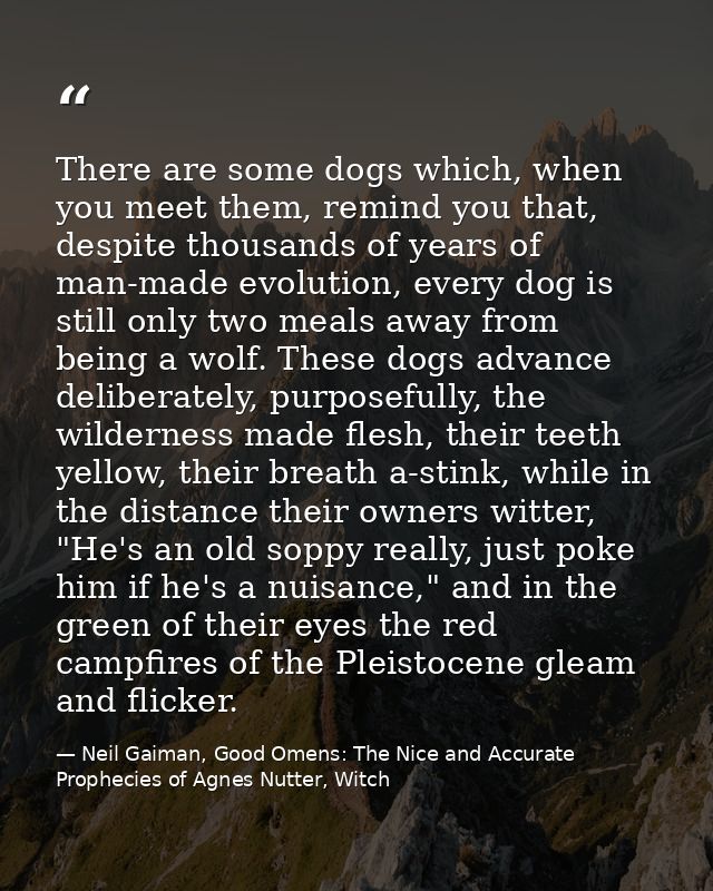 There are some dogs which, when you meet them, remind you that, despite thousands of years of man-made evolution, every  — Neil Gaiman, Good Omens: The Nice and Accurate Prophecies of Agnes Nutter, Witch