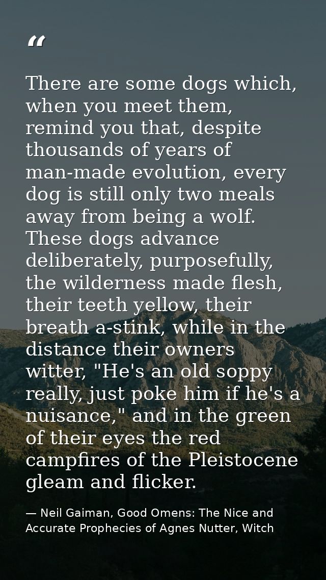 There are some dogs which, when you meet them, remind you that, despite thousands of years of man-made evolution, every  — Neil Gaiman, Good Omens: The Nice and Accurate Prophecies of Agnes Nutter, Witch