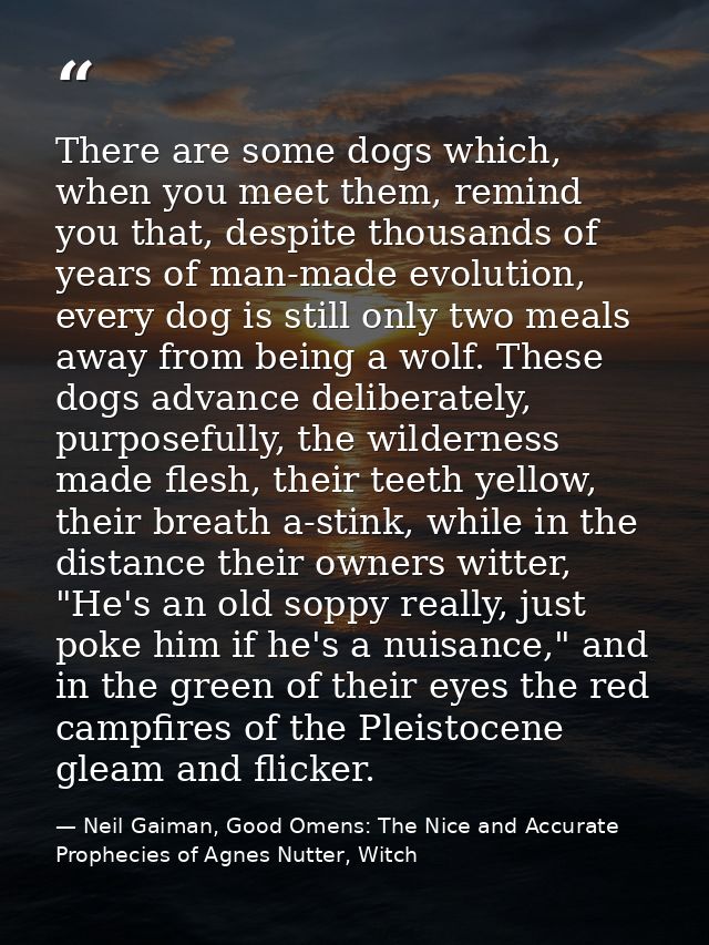 There are some dogs which, when you meet them, remind you that, despite thousands of years of man-made evolution, every  — Neil Gaiman, Good Omens: The Nice and Accurate Prophecies of Agnes Nutter, Witch
