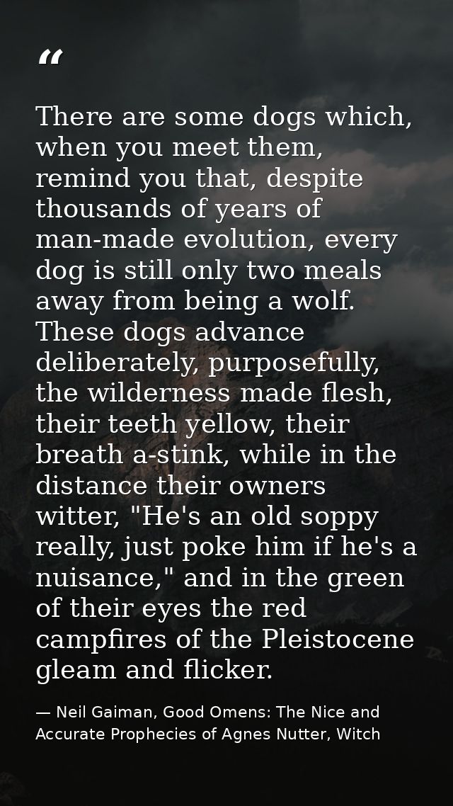 There are some dogs which, when you meet them, remind you that, despite thousands of years of man-made evolution, every  — Neil Gaiman, Good Omens: The Nice and Accurate Prophecies of Agnes Nutter, Witch