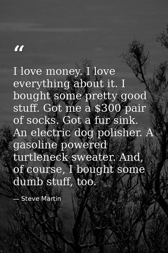 I love money. I love everything about it. I bought some pretty good stuff. Got me a $300 pair of socks. Got a fur sink.  — Steve Martin