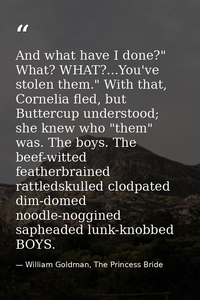 And what have I done?" What? WHAT?...You've stolen them." With that, Cornelia fled, but Buttercup understood; she knew w — William Goldman, The Princess Bride