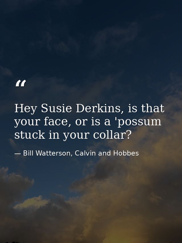 Hey Susie Derkins, is that your face, or is a 'possum stuck in your collar? — Bill Watterson, Calvin and Hobbes