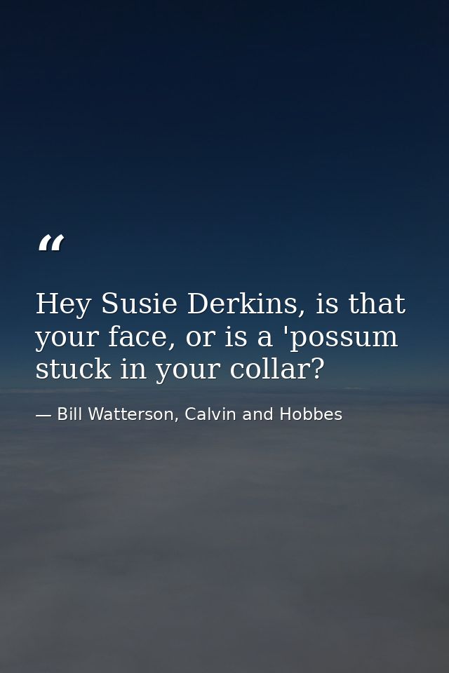 Hey Susie Derkins, is that your face, or is a 'possum stuck in your collar? — Bill Watterson, Calvin and Hobbes