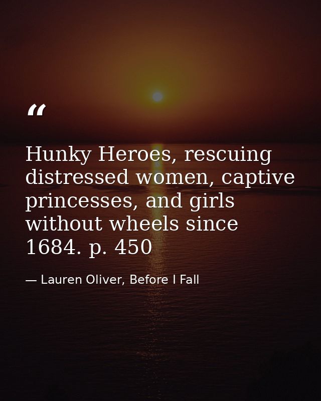 Hunky Heroes, rescuing distressed women, captive princesses, and girls without wheels since 1684. p. 450 — Lauren Oliver, Before I Fall