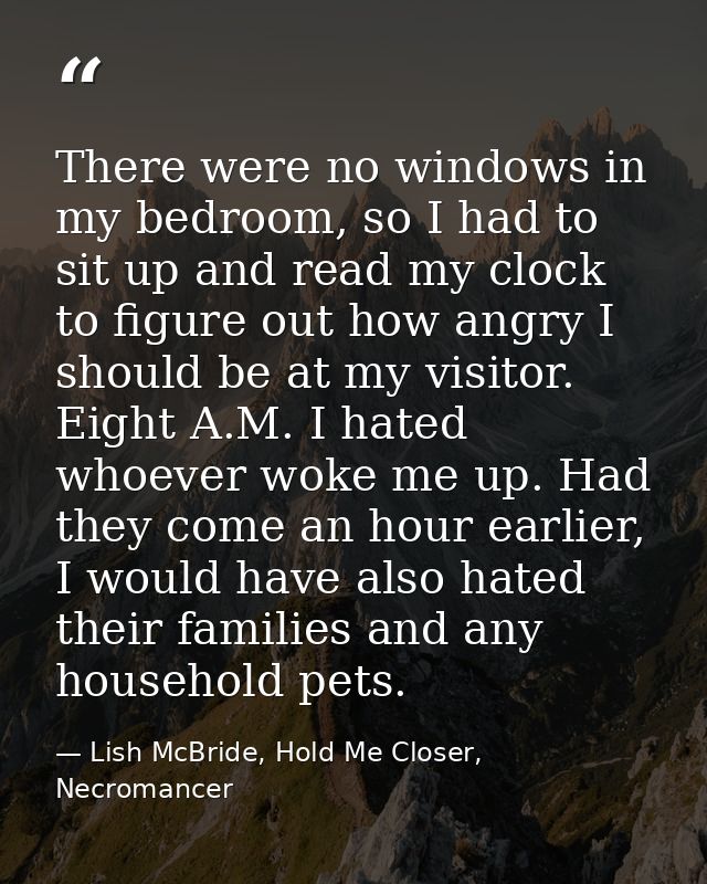 There were no windows in my bedroom, so I had to sit up and read my clock to figure out how angry I should be at my visi — Lish McBride, Hold Me Closer, Necromancer