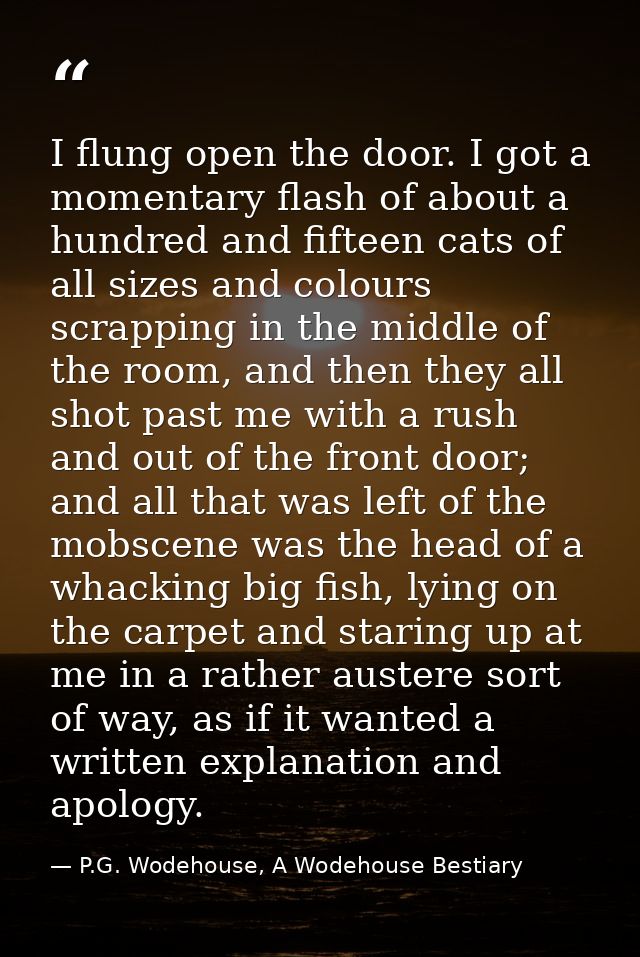 I flung open the door. I got a momentary flash of about a hundred and fifteen cats of all sizes and colours scrapping in — P.G. Wodehouse, A Wodehouse Bestiary