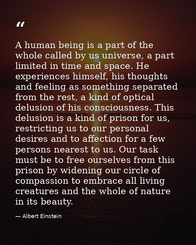 A human being is a part of the whole called by us universe, a part limited in time and space. He experiences himself, hi — Albert Einstein