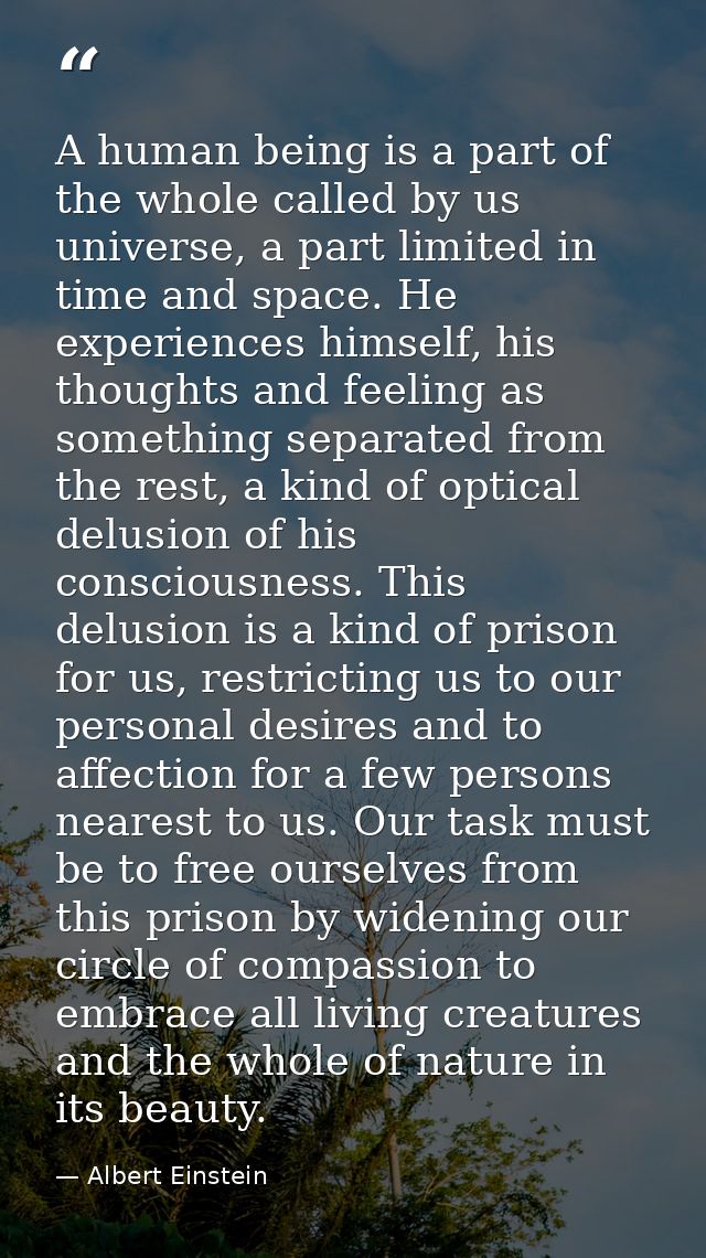 A human being is a part of the whole called by us universe, a part limited in time and space. He experiences himself, hi — Albert Einstein