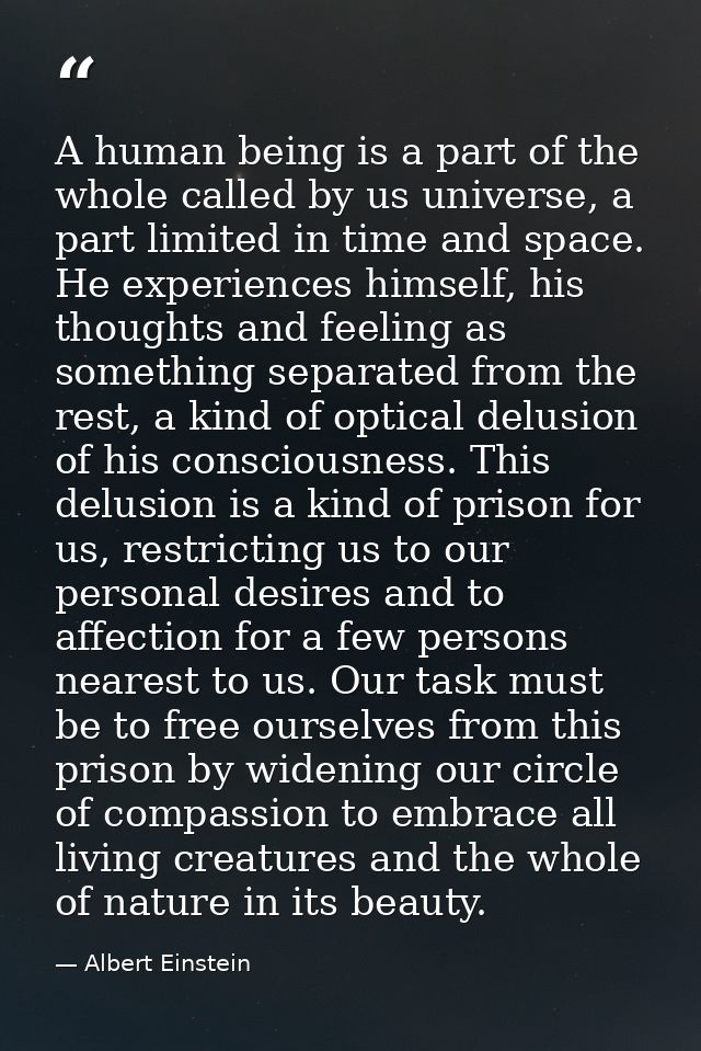 A human being is a part of the whole called by us universe, a part limited in time and space. He experiences himself, hi — Albert Einstein