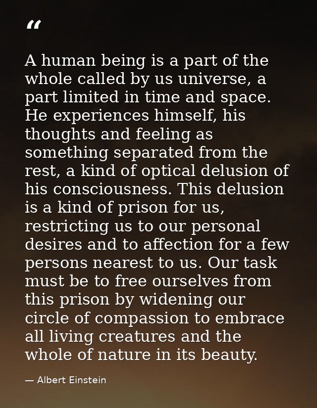 A human being is a part of the whole called by us universe, a part limited in time and space. He experiences himself, hi — Albert Einstein