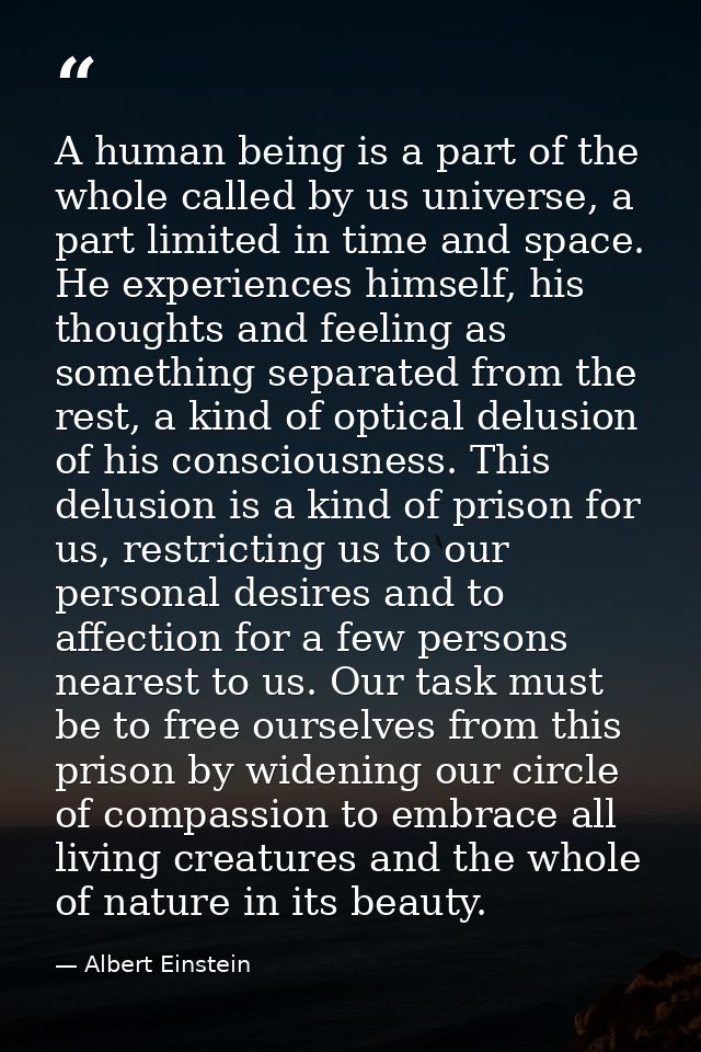 A human being is a part of the whole called by us universe, a part limited in time and space. He experiences himself, hi — Albert Einstein