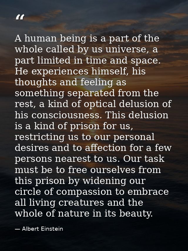 A human being is a part of the whole called by us universe, a part limited in time and space. He experiences himself, hi — Albert Einstein