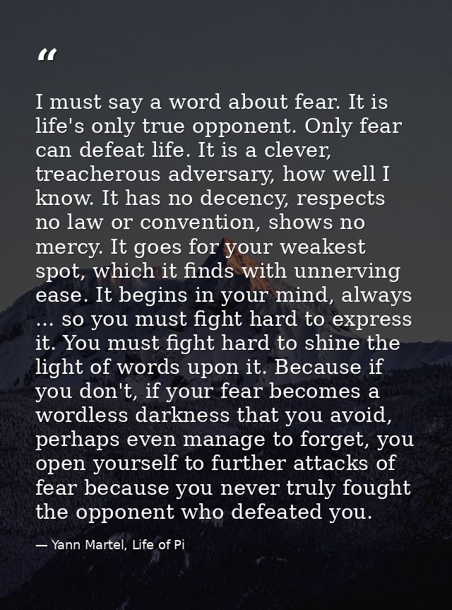 I must say a word about fear. It is life's only true opponent. Only fear can defeat life. It is a clever, treacherous ad — Yann Martel, Life of Pi