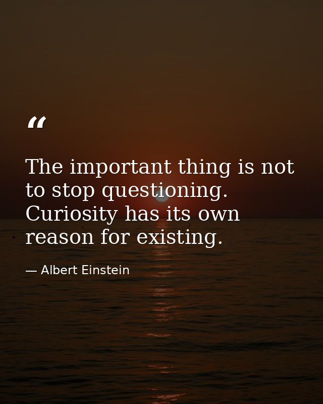 The important thing is not to stop questioning. Curiosity has its own reason for existing. — Albert Einstein