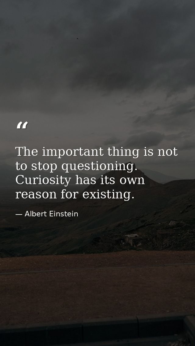 The important thing is not to stop questioning. Curiosity has its own reason for existing. — Albert Einstein