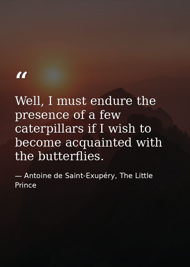 Well, I must endure the presence of a few caterpillars if I wish to become acquainted with the butterflies. — Antoine de Saint-Exupéry, The Little Prince