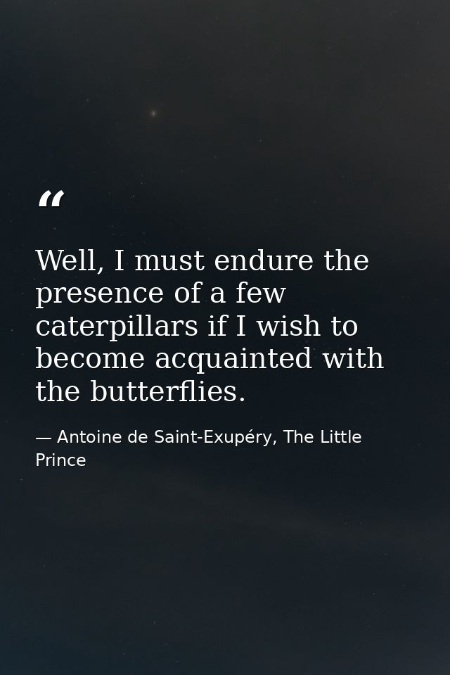 Well, I must endure the presence of a few caterpillars if I wish to become acquainted with the butterflies. — Antoine de Saint-Exupéry, The Little Prince