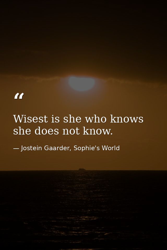 Wisest is she who knows she does not know. — Jostein Gaarder, Sophie's World
