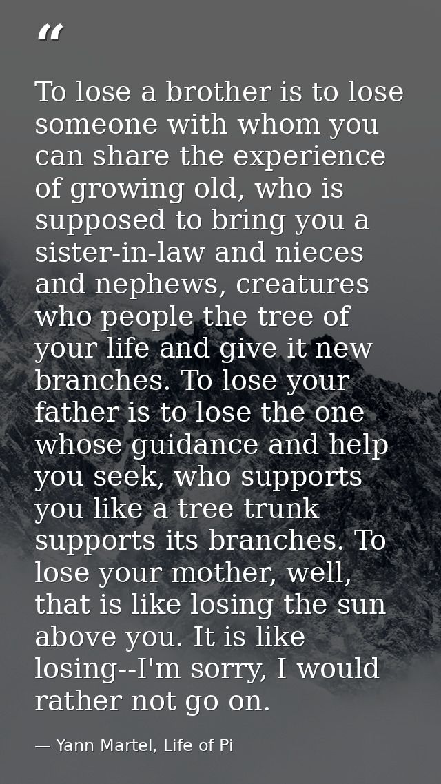 To lose a brother is to lose someone with whom you can share the experience of growing old, who is supposed to bring you — Yann Martel, Life of Pi