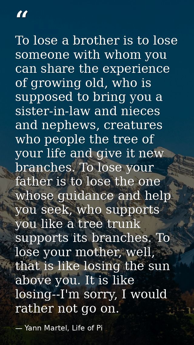 To lose a brother is to lose someone with whom you can share the experience of growing old, who is supposed to bring you — Yann Martel, Life of Pi