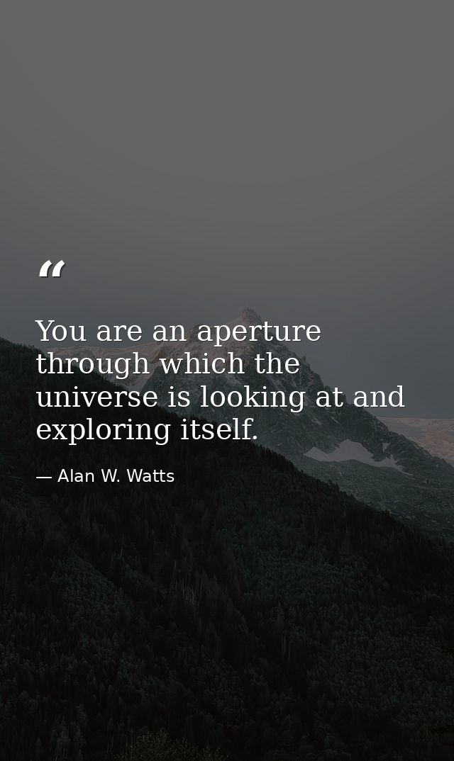 You are an aperture through which the universe is looking at and exploring itself. — Alan W. Watts