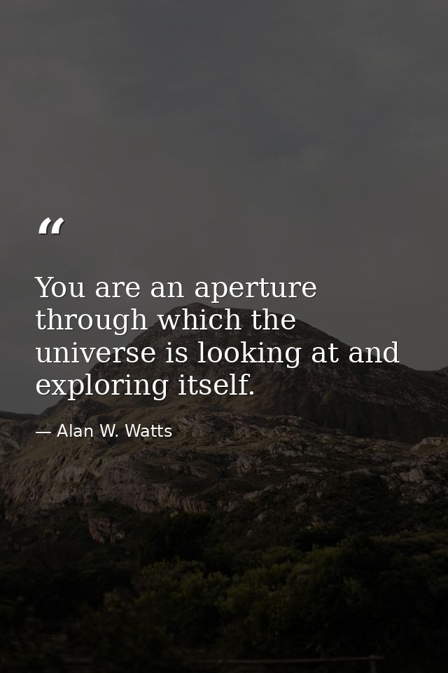 You are an aperture through which the universe is looking at and exploring itself. — Alan W. Watts