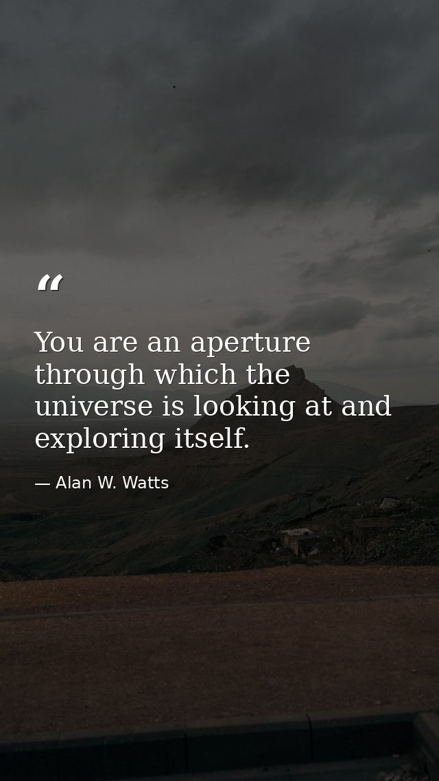 You are an aperture through which the universe is looking at and exploring itself. — Alan W. Watts