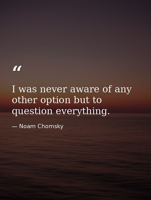 I was never aware of any other option but to question everything. — Noam Chomsky