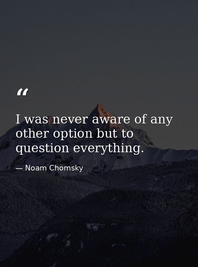 I was never aware of any other option but to question everything. — Noam Chomsky